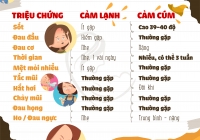 Cảm lạnh và Cảm cúm ở trẻ nhỏ